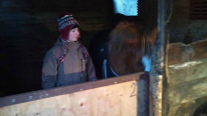 DSP Squash Es billede 7