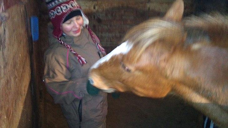 DSP Squash Es billede 8