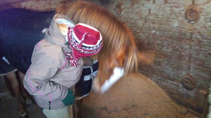 DSP Squash Es billede 9