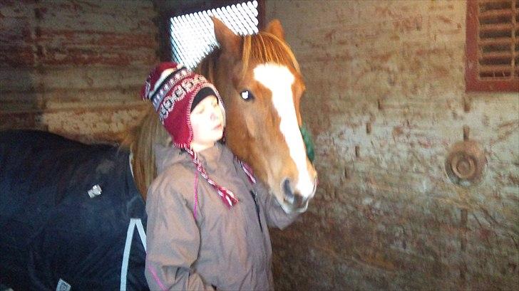 DSP Squash Es billede 10