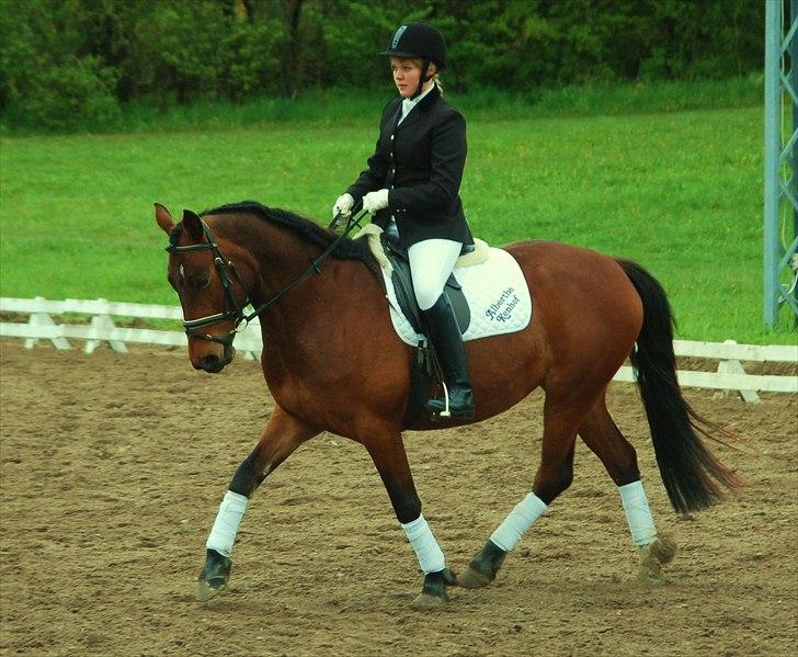 Anden særlig race Karlsbjerggaards Sakia - Sakia og jeg til vores første stævne. billede 1