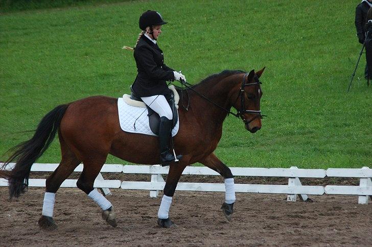 Anden særlig race Karlsbjerggaards Sakia billede 2