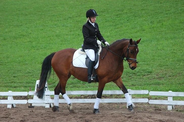 Anden særlig race Karlsbjerggaards Sakia billede 3