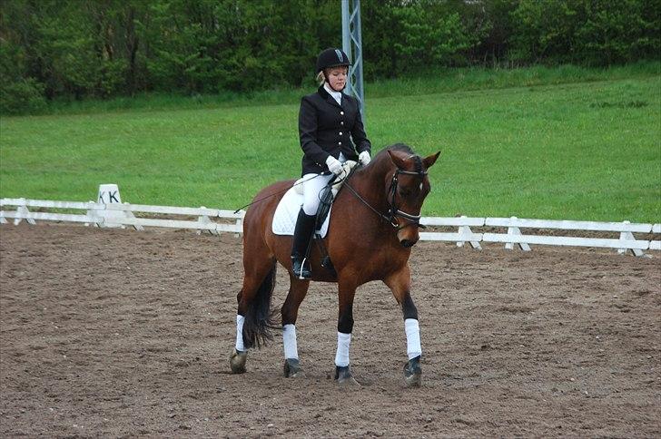 Anden særlig race Karlsbjerggaards Sakia billede 4