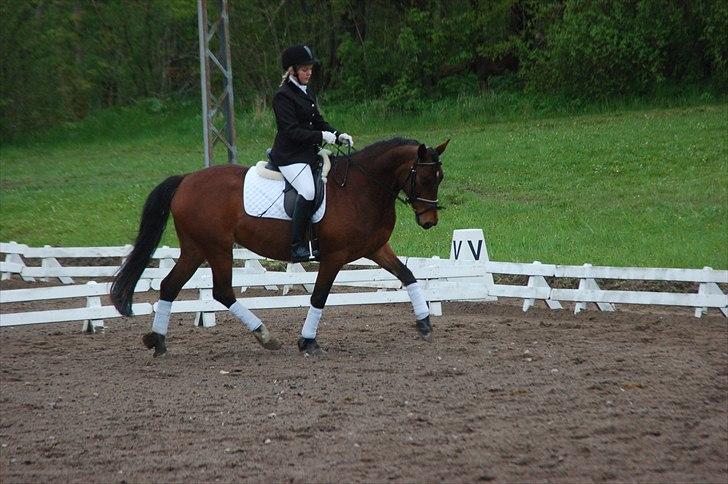 Anden særlig race Karlsbjerggaards Sakia billede 5