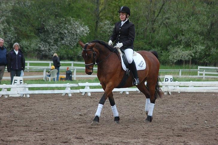 Anden særlig race Karlsbjerggaards Sakia billede 7