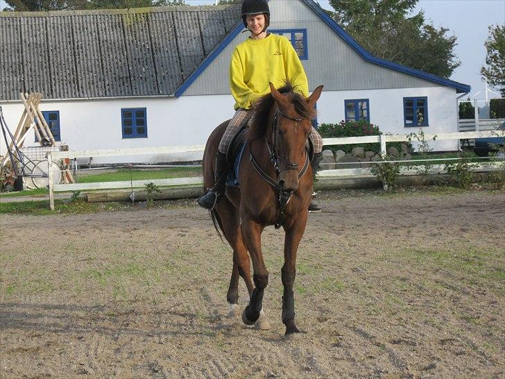 Traver Seeker Hornline *R.I.P* - Shenkelvining (staves) i skridt <3 billede 6