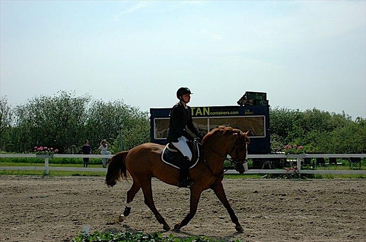 Anden særlig race Ulysse du Maron*Solgt :'( - landsstævne HIS 2010. Bøf er bare sejest billede 19