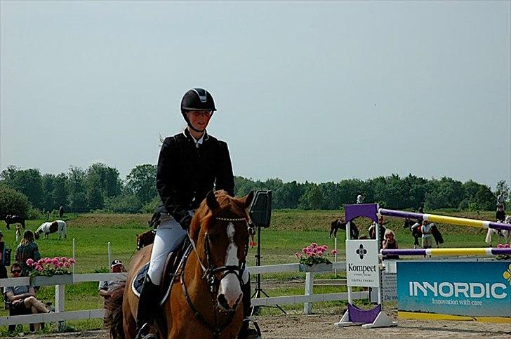 Anden særlig race Ulysse du Maron*Solgt :'( - Smukke bøffer billede 20