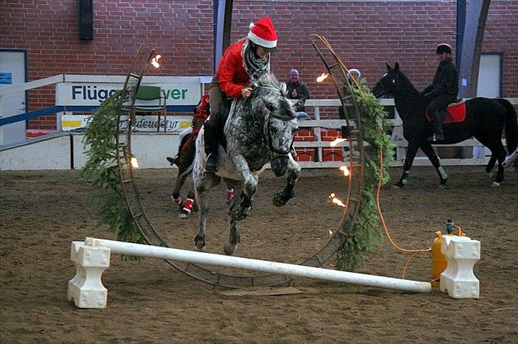 Anden særlig race Benno // Har redet - Uha, ilden er farlig xD Foto: Maria Rasch billede 1