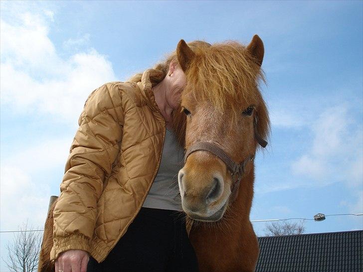 Anden særlig race Frida - Smukke ismule Frida billede 1