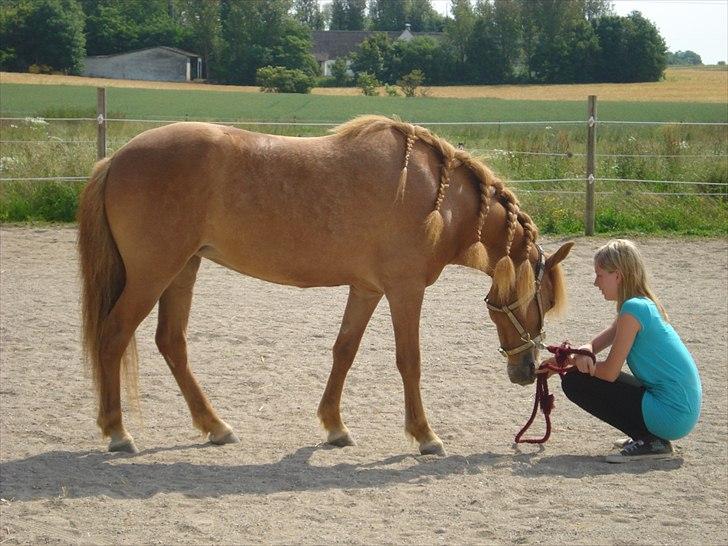 Anden særlig race Frida - Hygge mellem Frida og Cecilia   :o) billede 2
