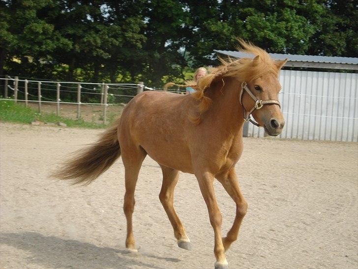 Anden særlig race Frida - Flot! billede 5