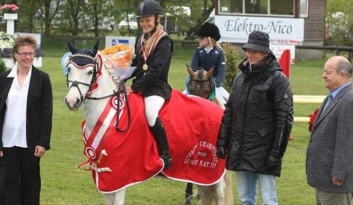 Hollandsk Sportspony Henry - DRF-championat! 2010 billede 2