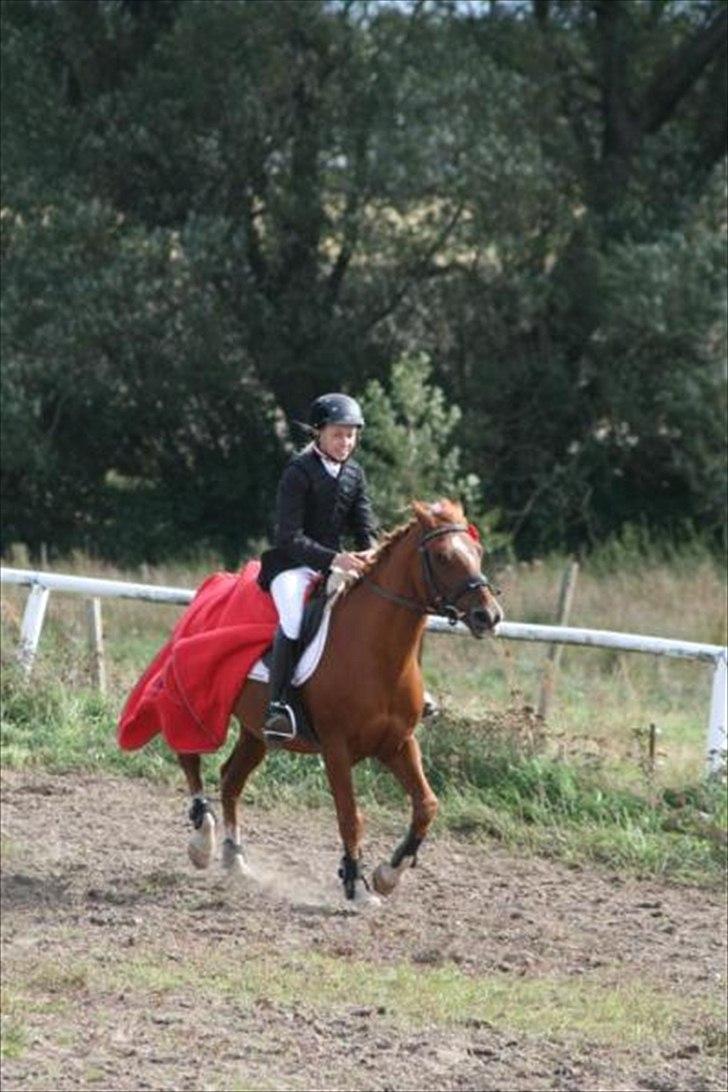 Anden særlig race Moon-Star - æres runde<3! billede 15