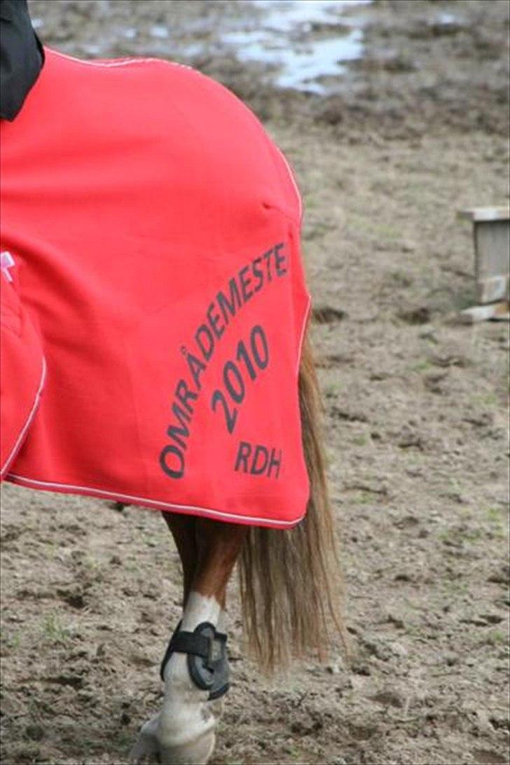 Anden særlig race Moon-Star - omr. tæppet! billede 16