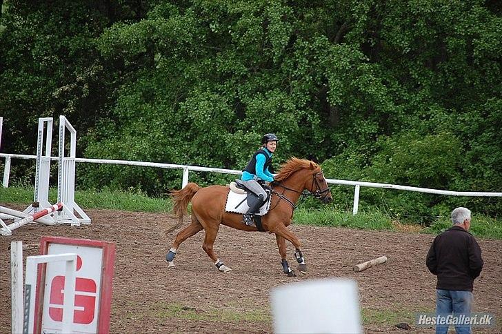 Anden særlig race Moon-Star - sped, sped, sped, I LOve Sped!:) billede 17