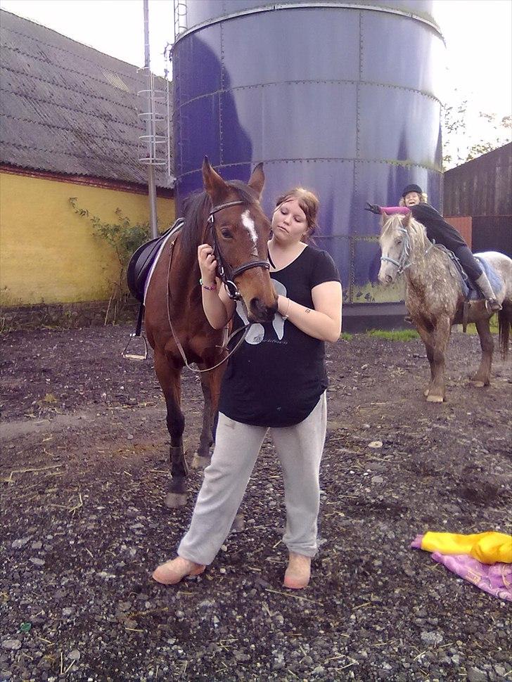 Dansk Varmblod Majbrit *Tøzen*  - mig og majbrit  melissa og sjors

Foto. Mette billede 13