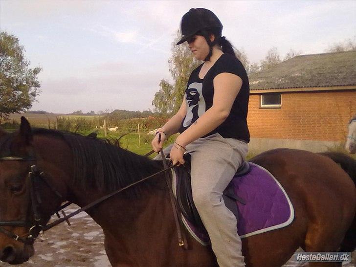 Dansk Varmblod Majbrit *Tøzen*  - mig der ride majbrit den dejlige pige

Foto. Mette billede 6