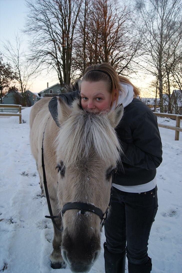 Anden særlig race Milo (Den fede) billede 1