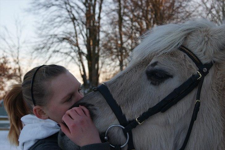Anden særlig race Milo (Den fede) billede 2