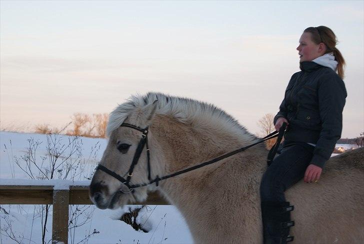 Anden særlig race Milo (Den fede) billede 8