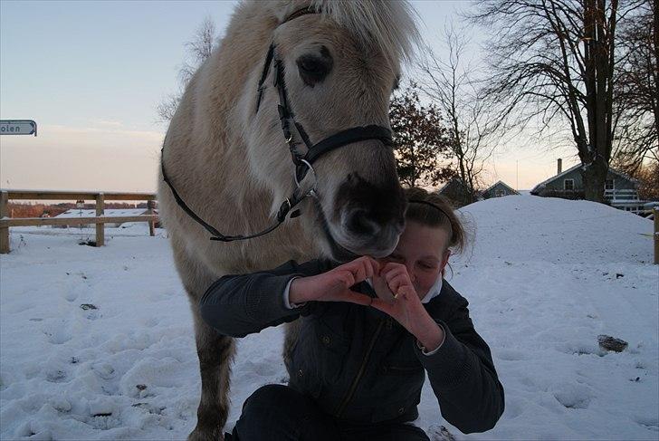 Anden særlig race Milo (Den fede) billede 12