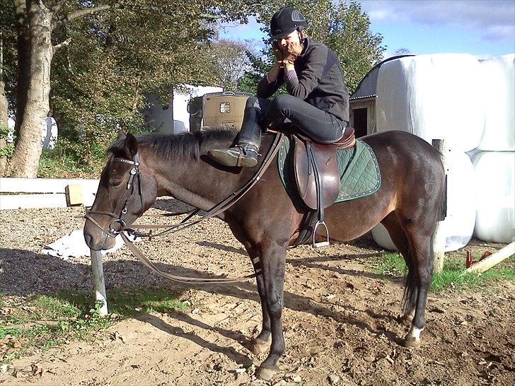 DSP Buegårds Saturn Solgt :'( - you are simply the best :/♥ billede 10