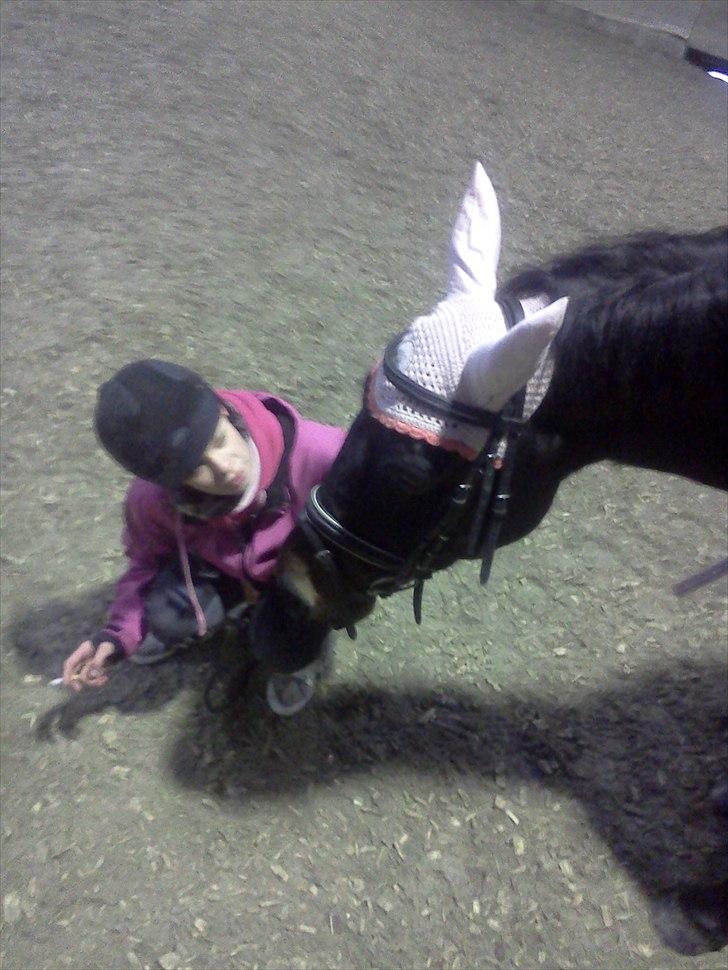 DSP Buegårds Saturn Solgt :'( - you are simply the best :/♥ billede 13