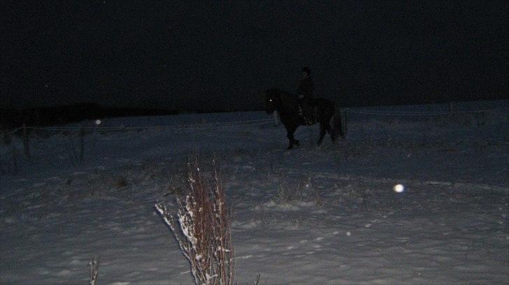 Islænder Næmi fra Ravnekrogen - Mig på Næmi i skridt D. 18/12 10  Foto:Mor billede 15