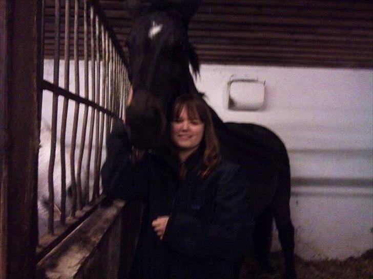 Anden særlig race Lucy rideskole(aflivet) - mig og smukkedyret<3 billede 5