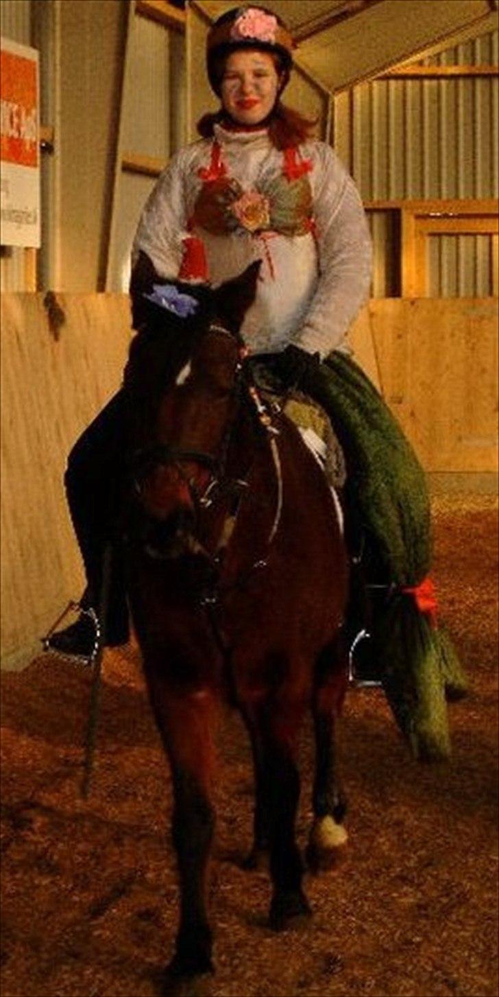 Anden særlig race Brenda/Carina billede 11