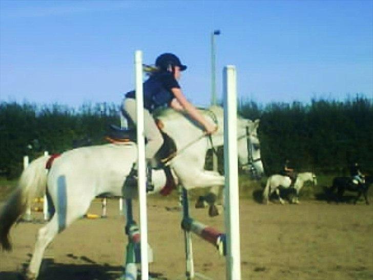 Welsh Pony (sec B) Blondie (rosa) - jubii vi elskede bare at springe og det gør vi stadig. når jeg så endelig springer på hende<3 billede 7