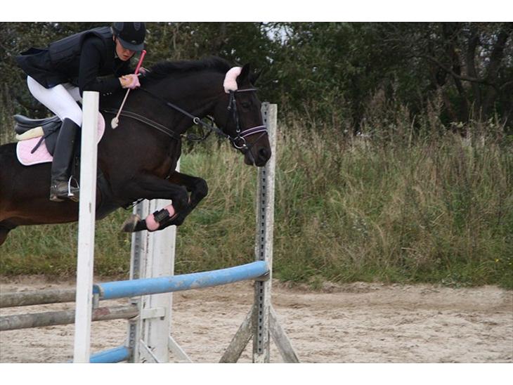 DSP Buegårds Saturn Solgt :'( - you are simply the best :/&#9829; billede 1