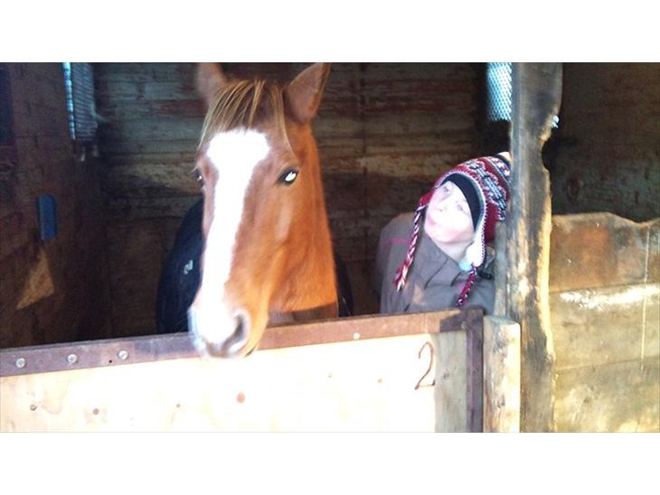 {{currentPhoto.altText}} billede {{currentPhoto.number}}