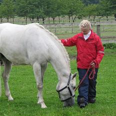 Connemara Solvang's Bastian