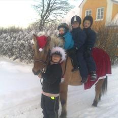 Anden særlig race Tulle (solgt og savnet)