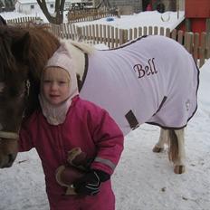 Anden særlig race Bell  (Solgt)