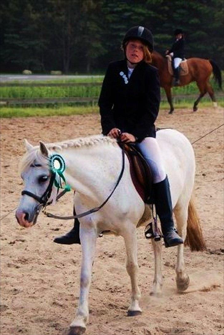 Welsh Pony (sec B) Blondie (rosa) - stævne på lindholm 3. plads i lb2. dygtig pige billede 8