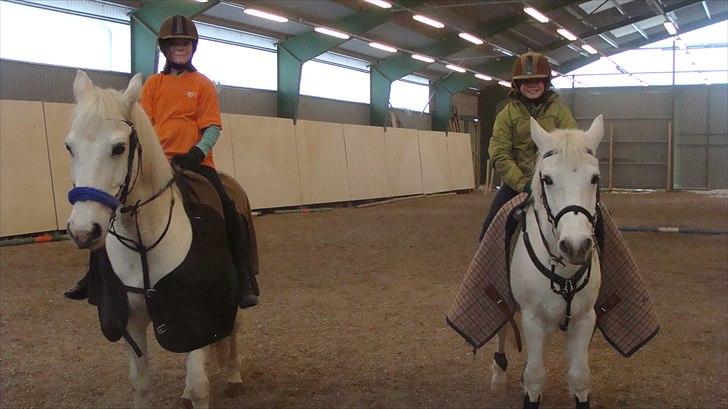 Anden særlig race  Dusty  R.I.P.:'( - Har fået en super sød rideveninde der hedder Nathalie og hendes pony hedder Athila. billede 2