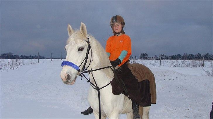 Anden særlig race  Dusty  R.I.P.:'( - hvid som sneen. billede 16