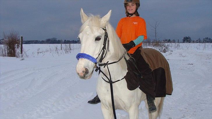Anden særlig race  Dusty  R.I.P.:'( billede 18