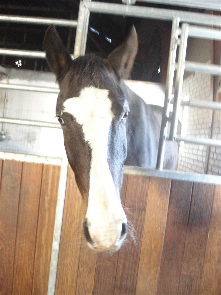 Oldenborg Lucas - .lucas<3 billede 10