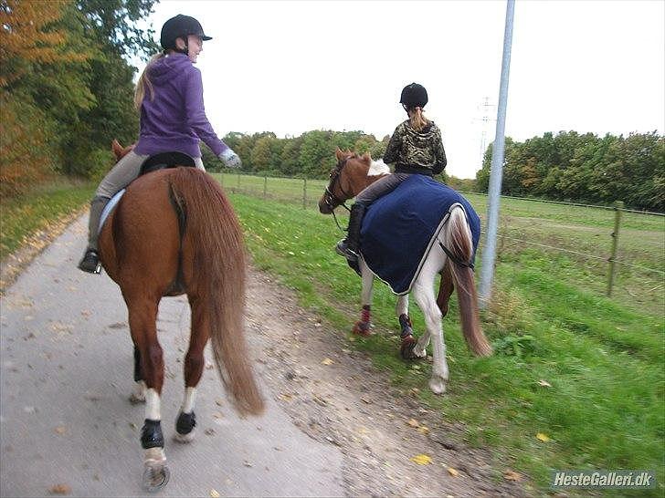 Anden særlig race Bali - Tak for kigget =D Foto: MBA billede 20