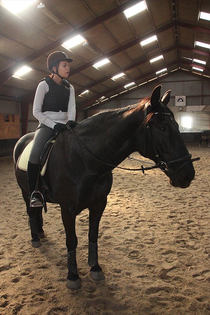 Anden særlig race Donhill  ( x-Part :'( ) - To trætte mongoler efter en hård ridetime! :-D; [ foto: Far ] billede 11