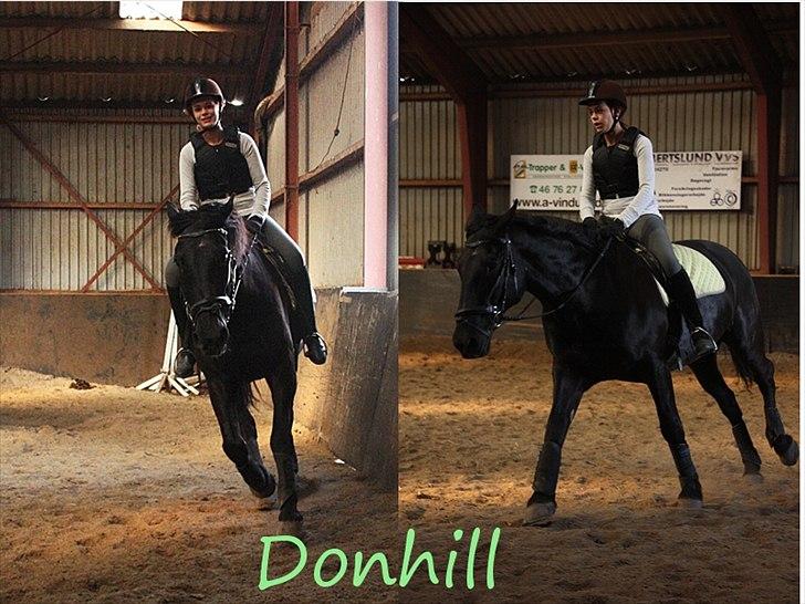 Anden særlig race Donhill  ( x-Part :'( ) - Galoptræning :-) Han er blevet så stabil i galoppen!! :-D [ foto: Far ] billede 12