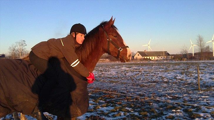 Anden særlig race Jacob<3 - Jacob og mig der ser på Lisa der rider<3 Foto:HH billede 4