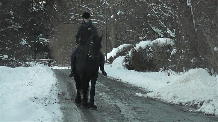 Frieser Sietse VD molenwijk billede 19