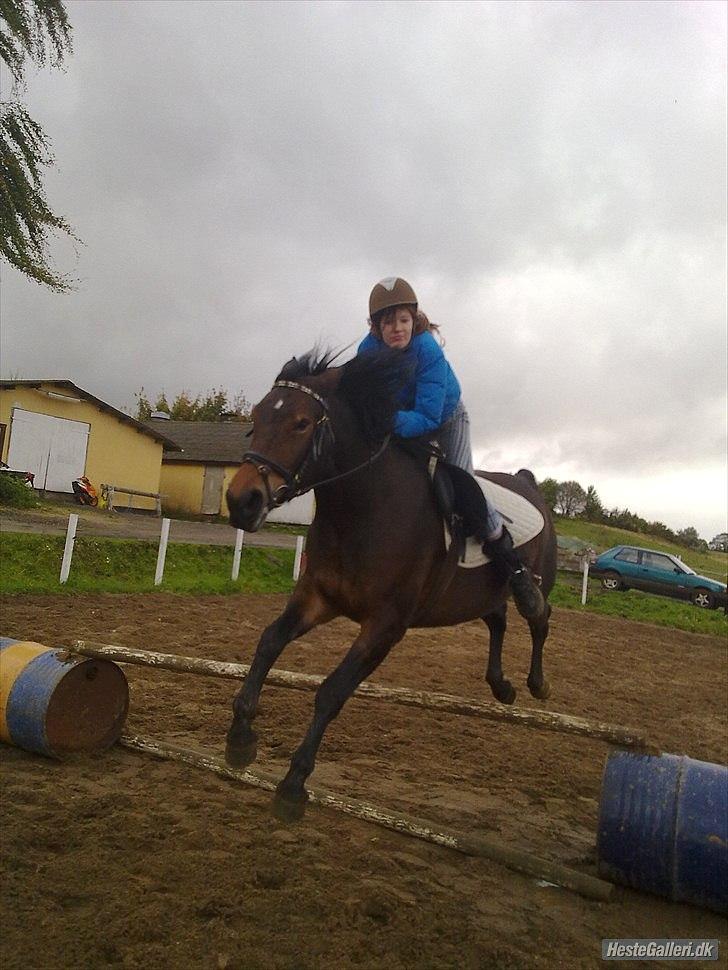 Anden særlig race Cleopratra (springer) billede 7
