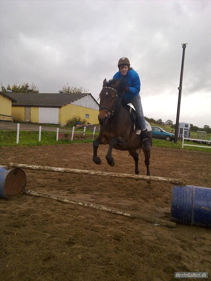 Anden særlig race Cleopratra (springer) billede 8